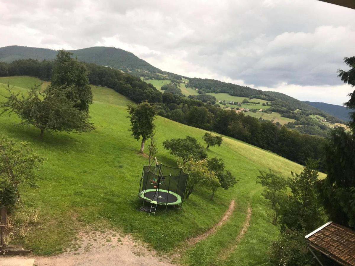 hébergement du chêne Fréland Esterno foto