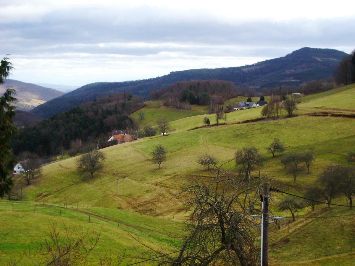 hébergement du chêne Fréland Esterno foto